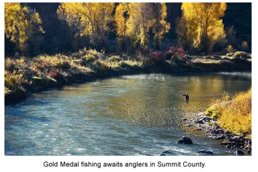 Gold Medal fishing awaits anglers on the Blue River.