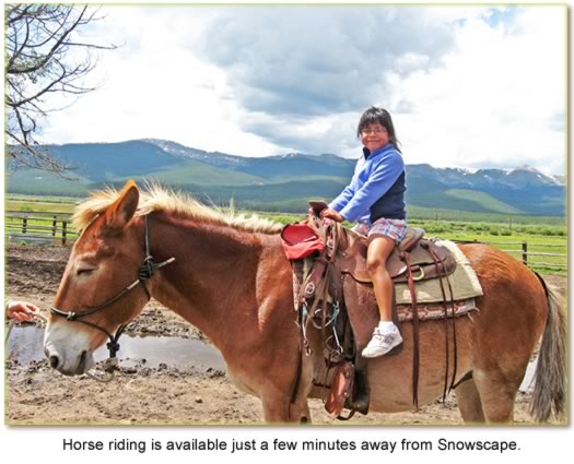 Horse riding is available just a few minutes away from Snowscape.